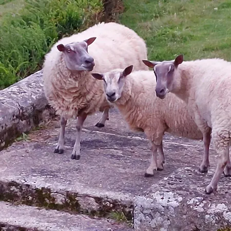 Dom wakacyjny Chateau De Vaux