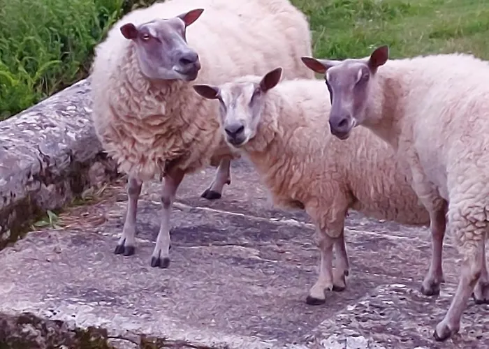 Casa vacanze Chateau De Vaux