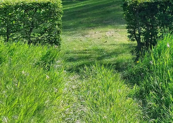 Casa vacanze Chateau De Vaux Gesnes-le-Gandelin